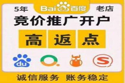 搜索引擎营销（SEM）的投放策略与效果评估——以某行业领先企业的案例分析