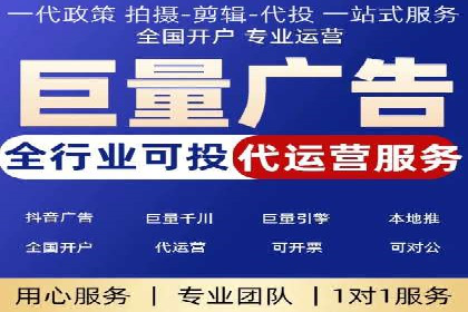 网络推广中的竞价广告：成功案例解析
